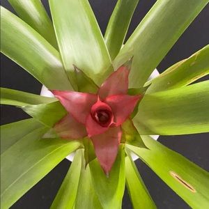 Meet your Posher, Jen